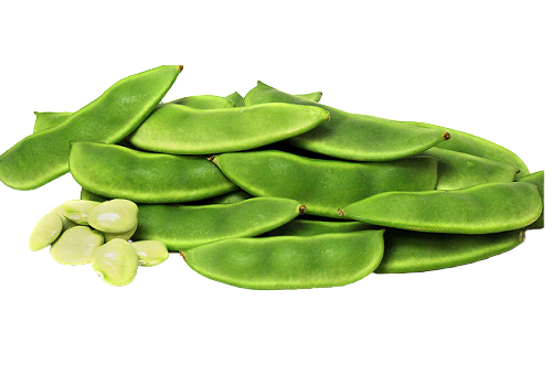 Broad Beans