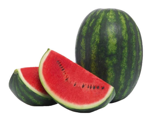 Water melon test