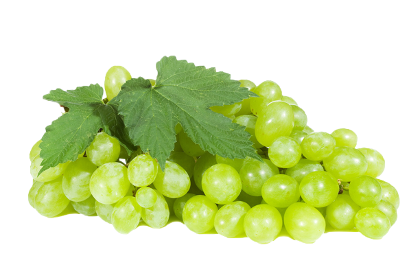 Grapes White